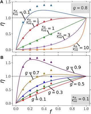 Configuration-Induced Directional Nonlinearity Enhancement in Composite Thermal Media